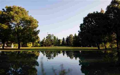 Palace Lawns