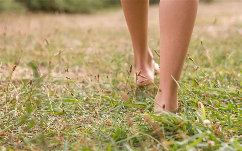 Earthing: How to Ground Yourself with Nature | Ananda In The...