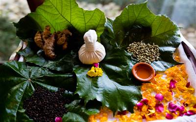 tibetan experiences in Ananda Spa, luxury hotel in The Himalayas