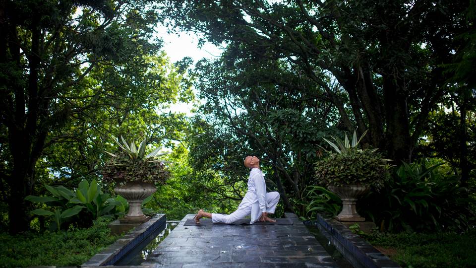 Ananda Pillars Yoga Meditation