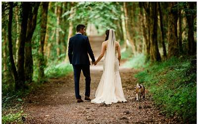 Weddings in the Forest at The Ardilaun Hotel Galway
