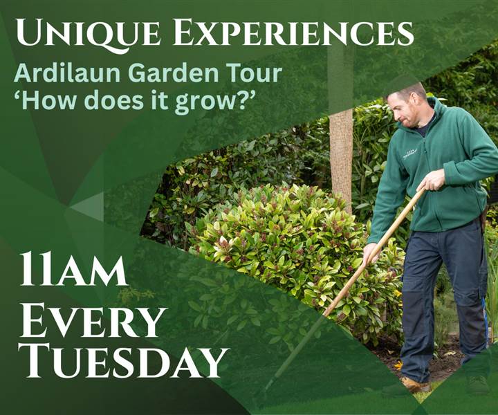 Gardening Tuesday Experience
