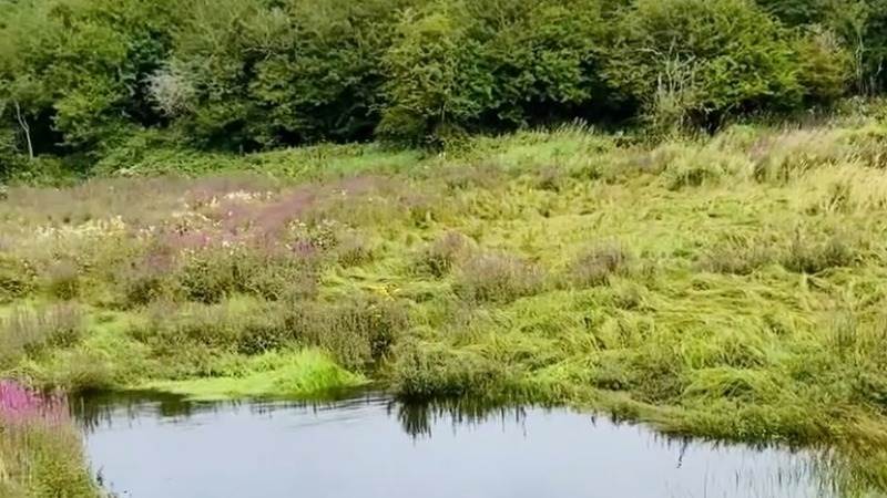 Burren Nature Sanctuary | The Ardilaun Hotel