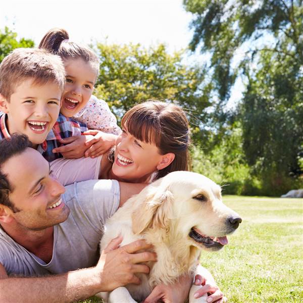Family Dog Rooms