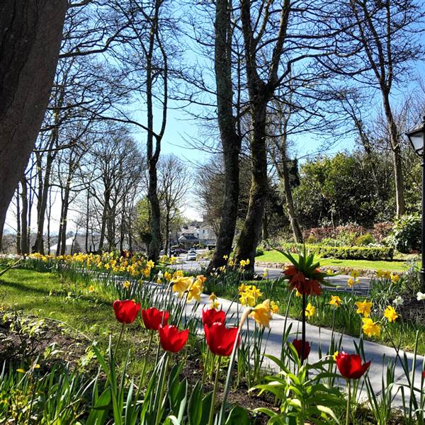 gardensinspring