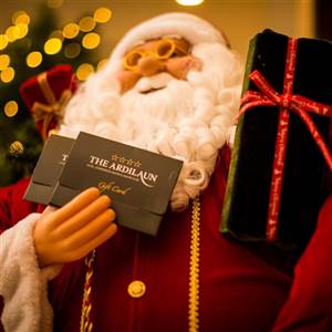 christmas ardilaun gifts