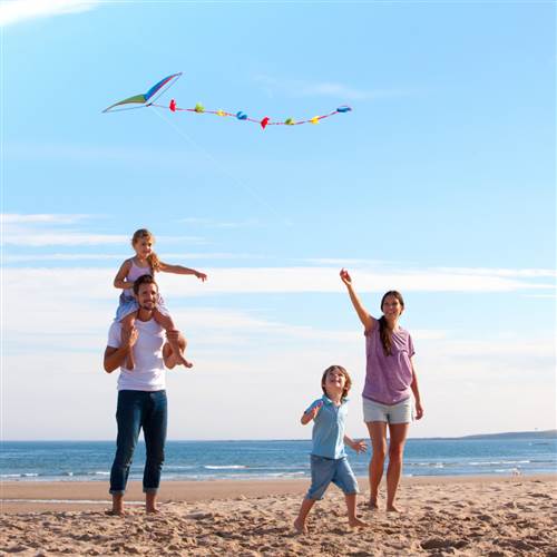 Family on beach kite