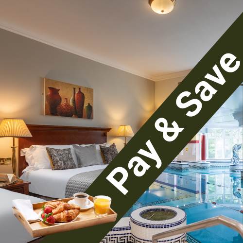 13047829 10154133186708615 6725488723937