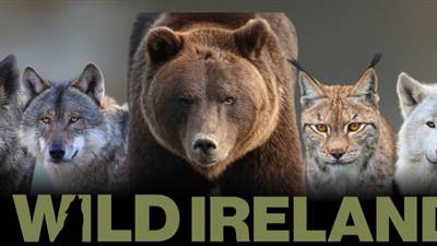Wild Ireland