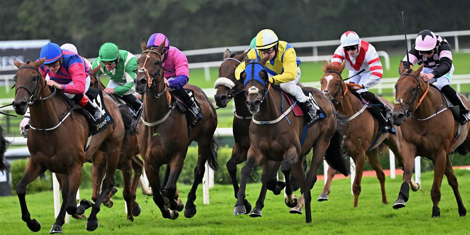 Horse Racing, Galway Races, Ballybrit Ra