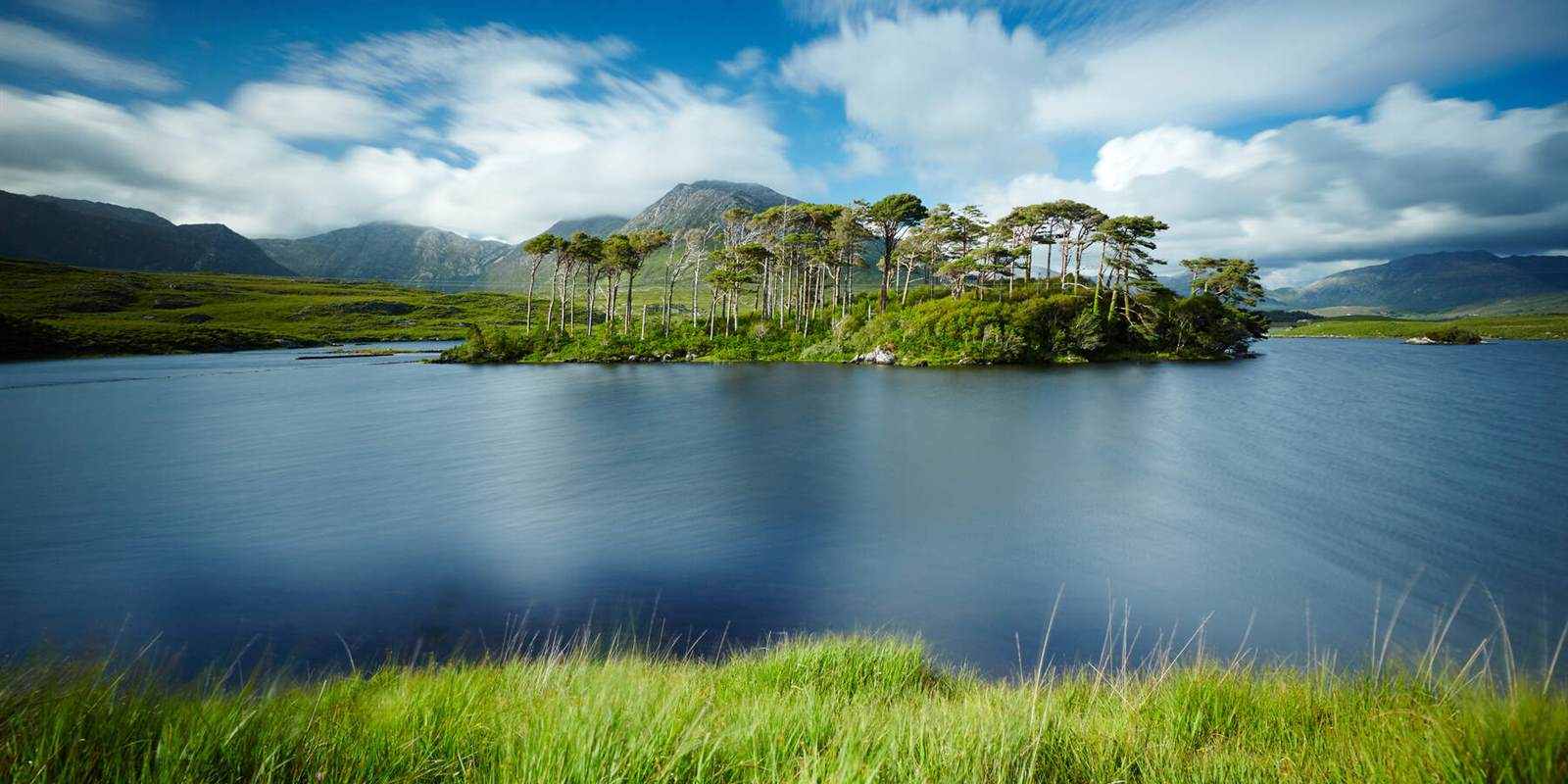 Pine Island, Derryclare Lough, County Ga