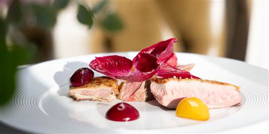 Roast Thornhill duck, glazed with honey,