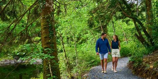 Walking Trails at Ballynahinch