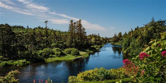 Ballynahinch Terrace
