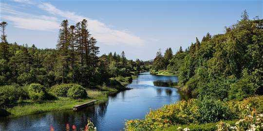 Ballynahinch Terrace