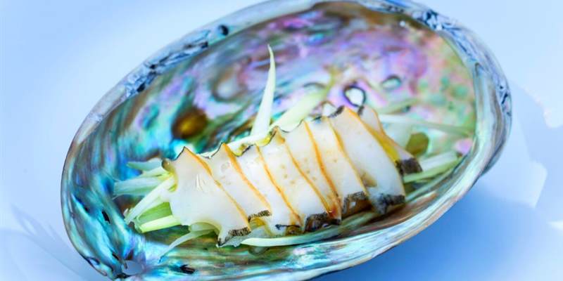 Abalone farm tour and tasting with coast