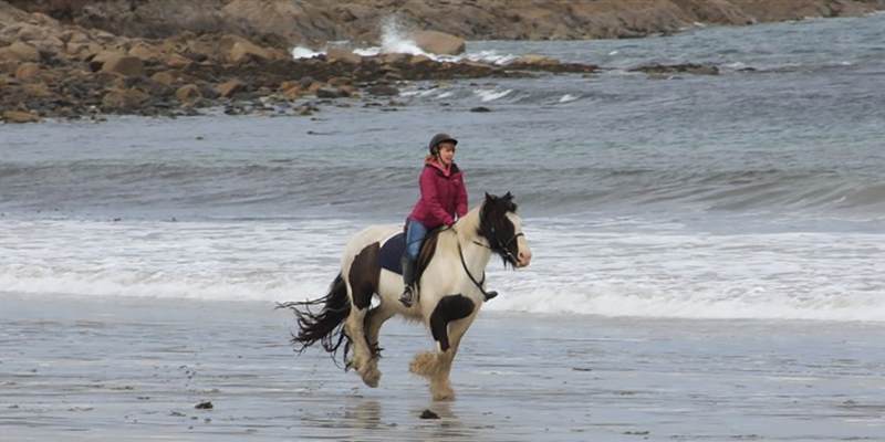 Cleggan Riding Centre