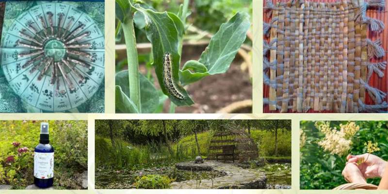 Sustainable Living Skills at Brigits Gar