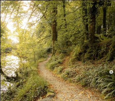 Ballynahinch Trails