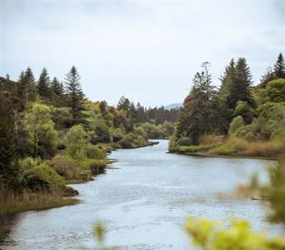 Screenshot 2026 01 09 114147