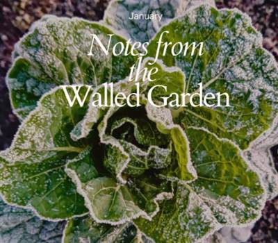 Screenshot 2026 01 22 140450