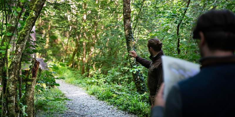 EstateWalk2022  judit gordanphoto   3  1