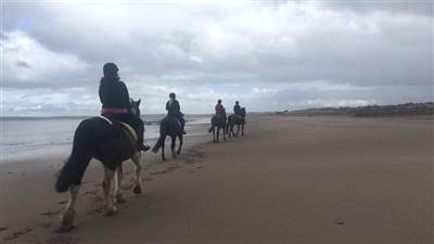 Beach Horse riding