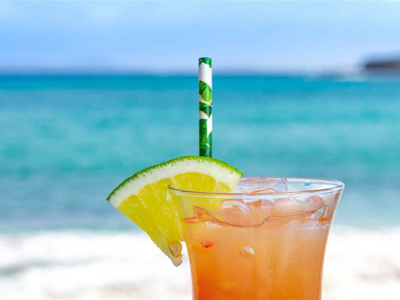 Try Best Caribbean Cocktails to Drink at Bequia Beach Hotel