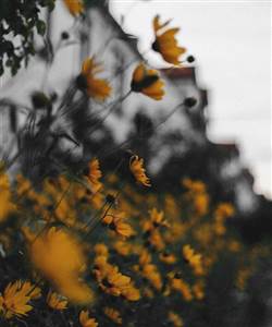 ruta celma XbWbyf191lU unsplash