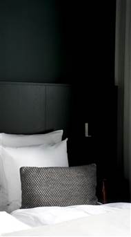 Hotel Hans Standard Double Room  5 