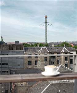 Danmark rooftop bar view