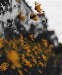 ruta celma XbWbyf191lU unsplash