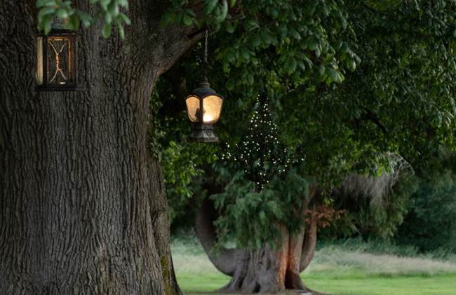 Will you marry me...