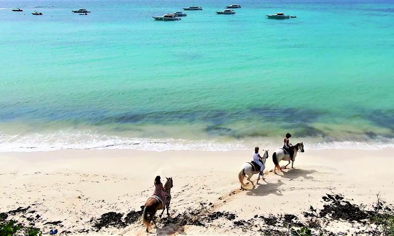 Anguilla Experiences Excursion Horseback