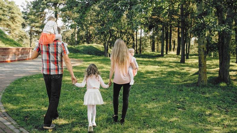 Top Things to Do in Kildare for a Family Day Out