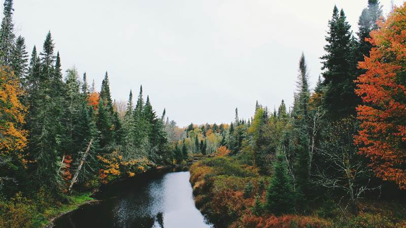 Things to Do in Kildare in Autumn