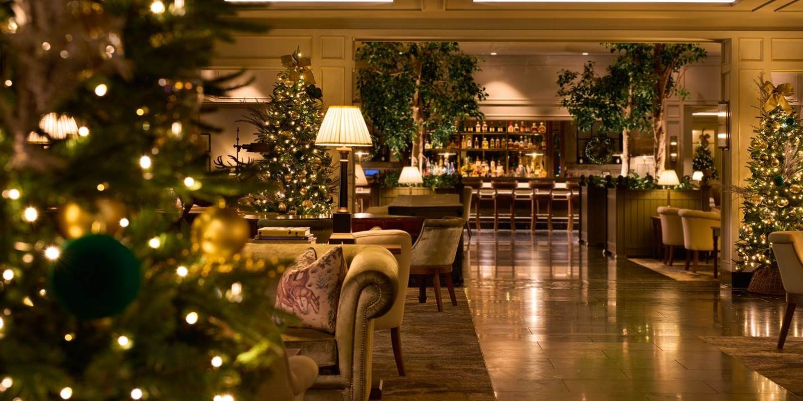 Festive Things to Do in Kildare at Christmas