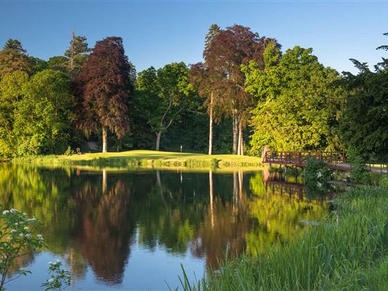 OMeara 16 tee 2