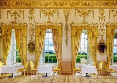 2025 Gold Salon Rose Garden View