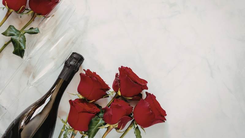 800 x 450 blogpanel 5