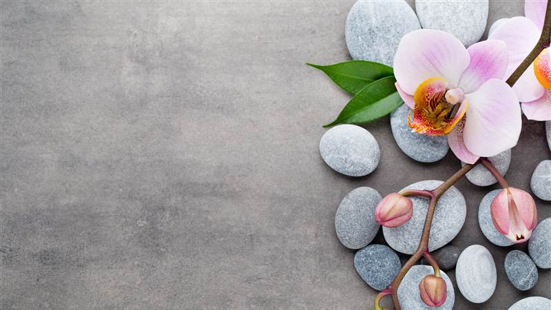 AdobeStock 107186119 pebble back ground 