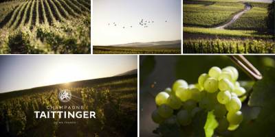 Tattinger Panel 2