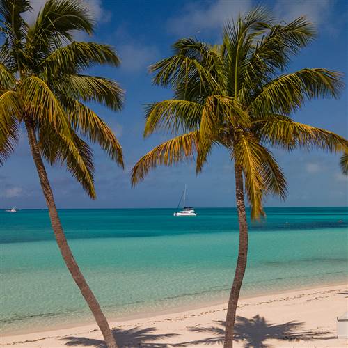 Resorts in Bahamas at Chub cay