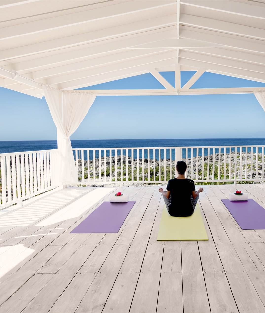 Zen Yoga – Blue Cliff Zen Center