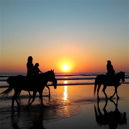 sunset horseriding