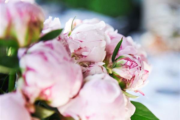 1600px COLOURBOX39312775