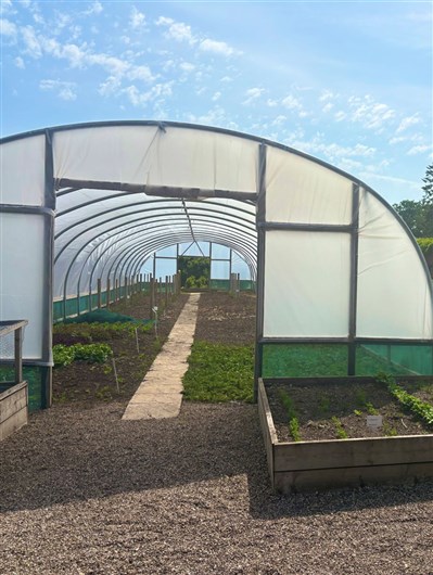 Poly tunnel