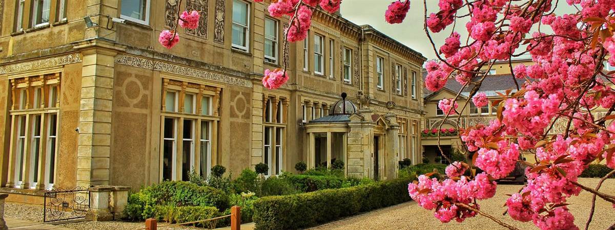 SCREWD 『HALL THE NEW DAWN+2』 CD Down Hall Hotel History in Essex | Down Hall History