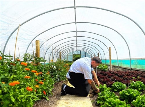 Chef poly tunnel