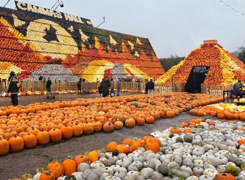 Cammas pumpkin pic